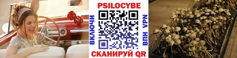 Галлюциногенные грибы мухоморы  Сольцы 